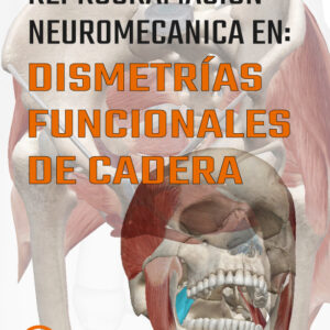 TALLER RE-PROGRAMACIÓN NEUROMECÁNICA EN DISFUNCIÓN DE EXTREMIDAD INFERIOR