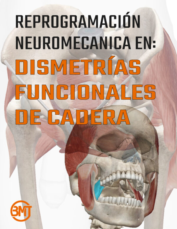 TALLER RE-PROGRAMACIÓN NEUROMECÁNICA EN DISFUNCIÓN DE EXTREMIDAD INFERIOR